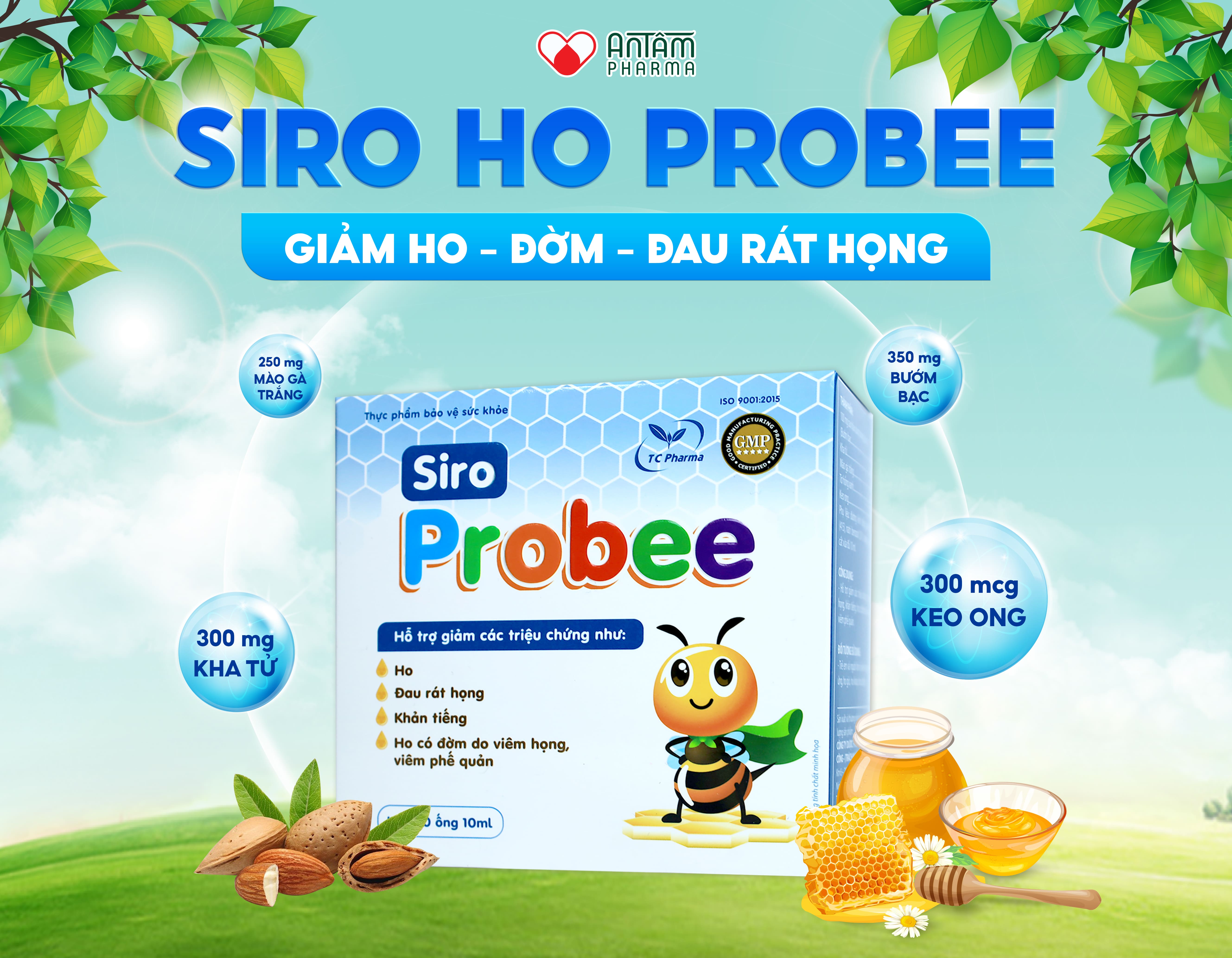 Siro Probee - Giảm Ho, Đờm, Đau Rát Họng Cho Bé - Hộp 4 Vỉ x 5 Ống Bẻ x 10ml